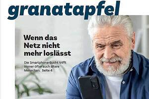 Das Bild ist ein Link zum Artikel.