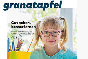 Das Bild ist ein Link zum Artikel.