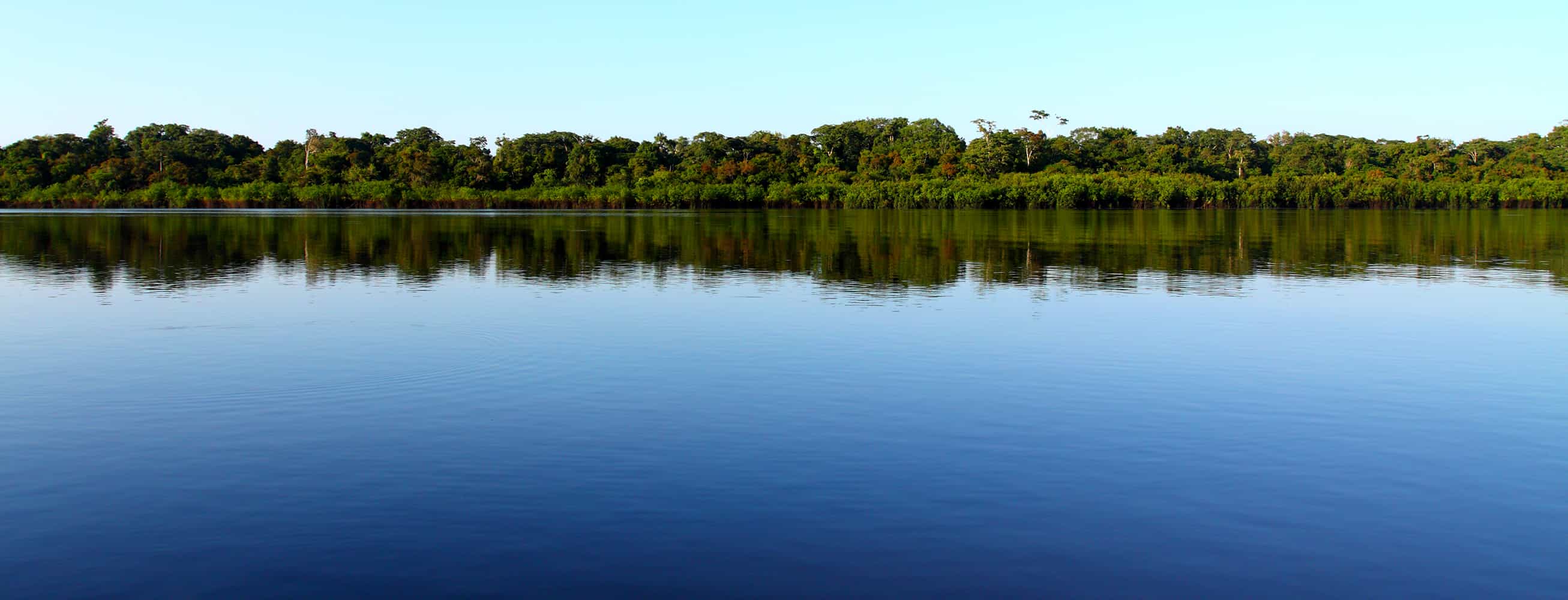 Das Bild zeigt einen Uferabschnitt am Amazonas.