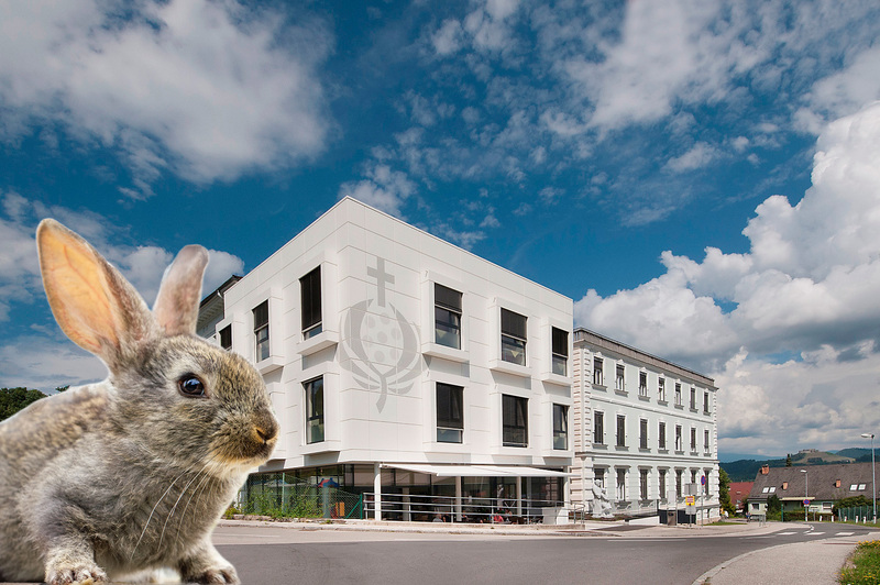 Krankenhaus mit Osterhase