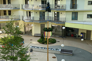 Maibaum im Hofgarten