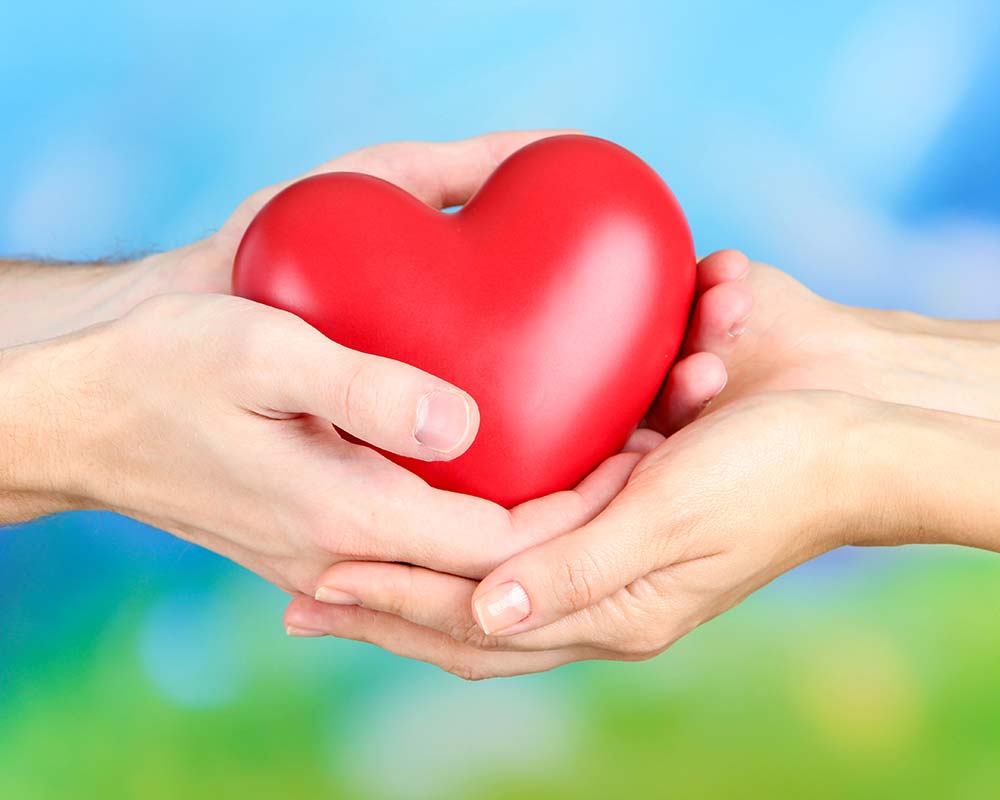 Das Bild zeigt Hände, die ein Herz halten.