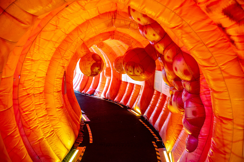 My Life, Infotage, Darmgesundheit, Fuchspalast, St. Veit, Krankenhaus Barmherzige Brüder St. Veit, Katja Kommt!, Foto Thomas Hude, 14.10.2023