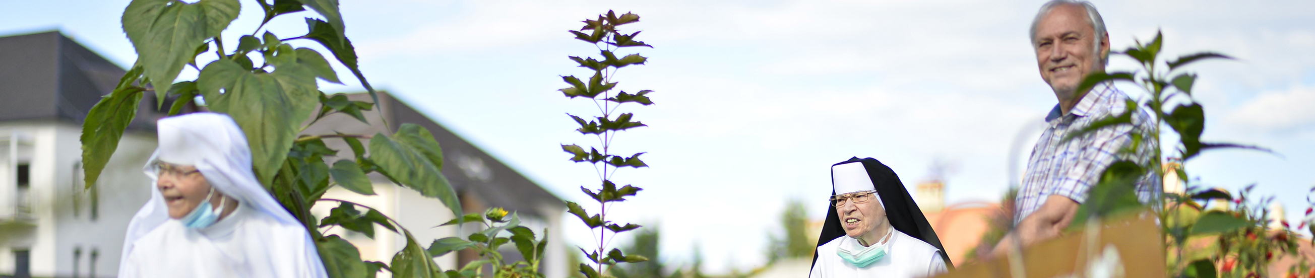 Therapiepark für Drogensüchtige bei den Elisabethinen