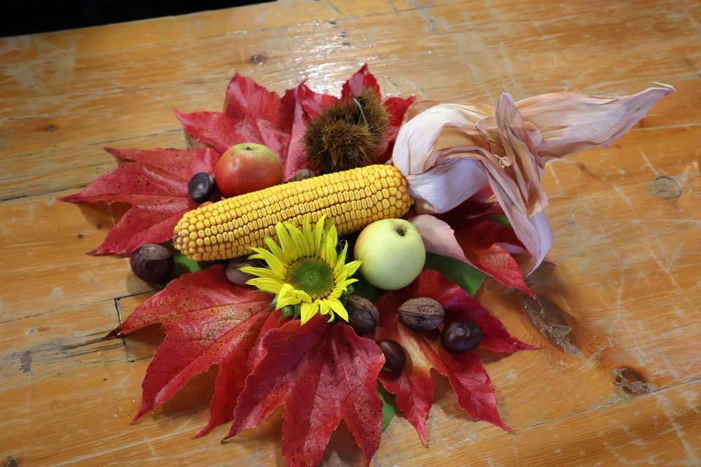 Die Tischdeko bei der Agape bestand aus Pflanzen, die in den Lebenswelten Steiermark gewachsen sind.