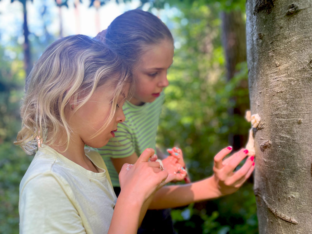 Die Kinder formten im Wald Baumgesichter.